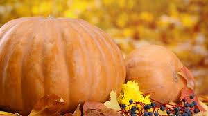 In questo caso, messa in dei contenitori per alimenti, si conserva. Suggerimenti Su Come Conservare La Zucca A Casa In Un Appartamento Come Conservare Correttamente Una Verdura Quanto Puo Essere Conservata A Temperatura Ambiente E In Frigorifero