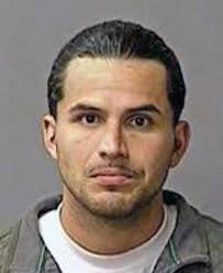 Van theft suspect tries to elude police going into dairy