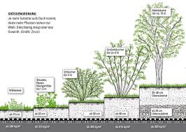 Bildergebnis Fur Intensive Begrunung Flachdach Flachdach Begrunung Flachdach Wilde Wiese