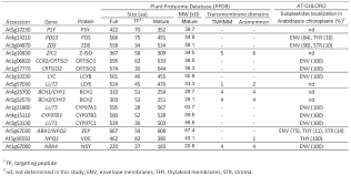 Carotenoid Biosynthesis In Arabidopsis A Colorful Pathway