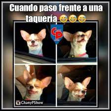 Jajajjajajajajajaj Y Mas Si Son Al Pastor Jaja Naca Naca Memes Al Pastor Pastor