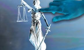 Image result for Justicia incana