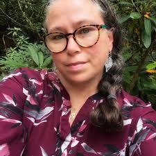 3 Outdoor multi-colored LED Floodlights IPV65 great for Holidays