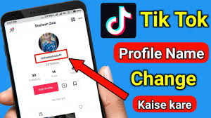 Please enter the username of the tiktok account to the stated box. How To Change Your Username On Tiktok Instafollowers