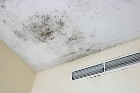 We favor tilex since it's specially formed to kill and eliminate mold and mildew. Does An Ac Kill Mold Hvac Service Trinity Tx