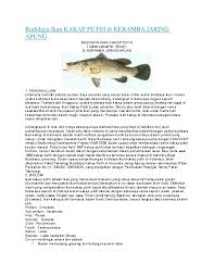 Doc Budidaya Ikan Kakap Putih Di Keramba Jaring Apung Dian D Fabiianda Academia Edu