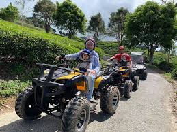 Ianya adalah destinasi percutian paling popular di semenanjung malaysia. Tunggang Atv Di Ladang Teh Idea Beriadah Di Cameron Highlands Cara Berbeza Libur