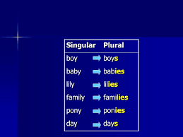 Plurals Ppt Video Online Download