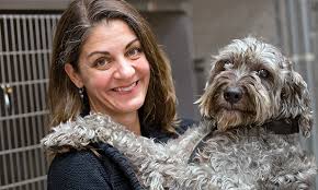 Whether the cancer in bone is primary or metastatic, the early symptoms vary from no symptoms at. Chemotherapy For Pets Aims For Quality Life Veterinary Medicine At Illinois