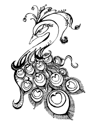 Peacock Jpg Image Peacock Art Flower Sketches Butterfly Drawing