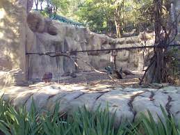 Əmedli qesebesi, mehemmedhadi kuçesi,no 9, baku, azerbaijan. Baku Zoo To Get New Tenants