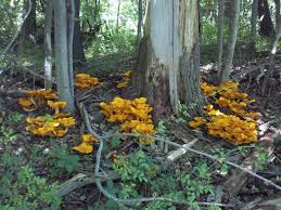 Maybe you would like to learn more about one of these? List Of Parks In Pennsylvania