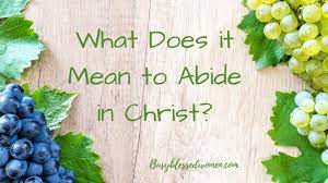 What Does It Mean To Abide In Christ? - Busy Blessed Women