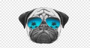 Pug T Shirt Gunes Gozlugu Kopek Tasmasi T Shirt Memeli Etobur Png Pngegg