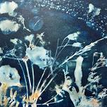 Wet Cyanotype Workshop - Session 2