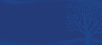 The services include dedicated asset management, advice on strategy and investment selection, execution in global markets, safeguarding client assets and continuous monitoring. Imd And Pictet Join Forces To Celebrate And Reward Leading Family Enterprises Imd News
