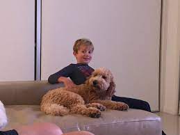 Jun 18, 2021 · coronavirus; Annastacia Palaszczuk On Twitter Thank You To My Nephew For Looking After Winton This Week