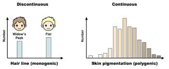 Polygenic Inheritance Bioninja