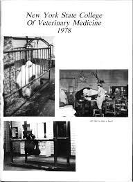 NEW YORK STATE COLLEGE OF VETERINARY MEDICINE