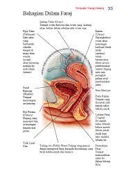 We did not find results for: Permata Yang Hilang Gambar Bahagian Dalam Faraj Facebook