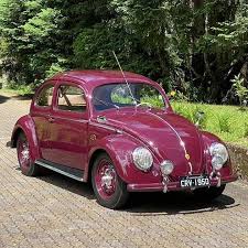 Image result for Bordeaux Red 1950 Beetle