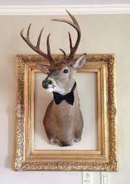 Frame The Deer Head With Gold Frame And Bow Tie Decoration Taxidermie Animaux Empailles
