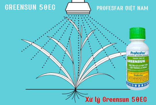 Greensun 50EC