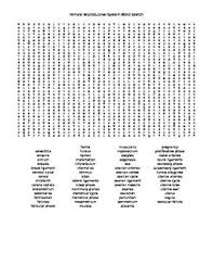 Female Reproductive System Word Search Female Reproductive System Reproductive System Words