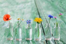 We did not find results for: Healing Flowers In Bottles For Herbal Medicine On Old Wooden Green Craked Stock Photo Picture And Royalty Free Image Image 82813620