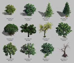 Real Trees Sprite Set3 Game Tree Sprites Basic Watercolor Tree Sprite