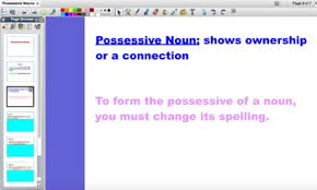 possessive nouns flipchart by dipasqua education tpt