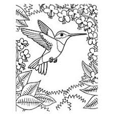 Top 10 Hummingbird Coloring Pages For Your Toddler Bird Coloring Pages Hummingbird Colors Printable Coloring Pages