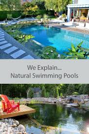 What Is A Natural Swimming Pool Permaculture In 2019 What Is A Natural Swimming Pool Permaculture In 2019 Natural Swimming Pools Swimming Pond Backyard Pool