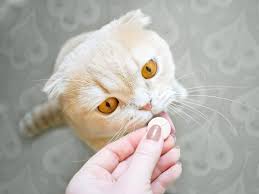 It is especially formulated to get rid of your cat's large intestinal roundworms by paralyzing them, letting them be passed and eliminated through your feline friend's stools. Best Cat Dewormers In 2021