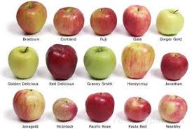 Handy Chart To Help You Identify Apples Good To Know For