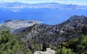 Απαγόρευση κυκλοφορίας οχημάτων και παραμονή εκδρομέων σε εθνικούς δρυμούς, δάση και ευπαθείς περιοχές της π.ε. Pyrkagia Se Korin8ia Dytikh Attikh Staxth 55 000 Stremmata Ti Prokalese Th Grhgorh E3aplwsh Ths Fwtias H Ka8hmerinh