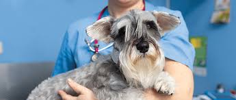 Image result for Hypochloremia