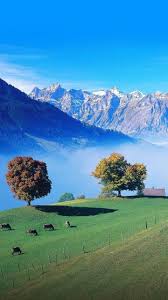 It S Winter Train Travel Time Switzerland Beautiful Landscapes Beautiful Nature Nature Photography