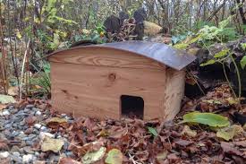 Aus massivem chinesischem tannenholz gefertigt und mit einem dach aus wasserdichtem polyestergewebe ausgestattet, ist dieses igelhaus robust und witterungsbeständig. Igelhaus Im Garten Aufstellen Native Plants Gartenblog