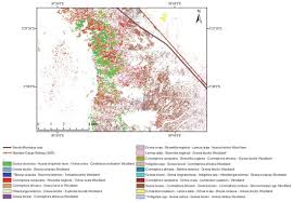 Image result for Hilsenbergia