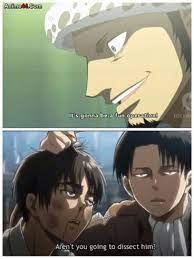 Haha Trafalgar Law And Levi Same Voice Actor Same Personality Anime Crossover Attack On Titan Crossover Eren Jaeger