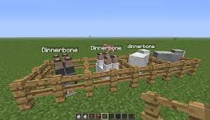 If You Name An Animal In Minecraft Dinnerbone The Animal Will Flip Upside Down Minecraft Spiele Namen