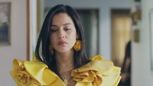 No importa si después me ven llorando un día si acaso me preguntan les diré que te quiero mucho todavía. Amar Y Vivir Netflix