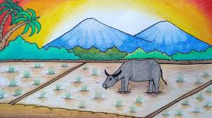 Pada gambar pemandangan ini juga terdapat sungai sawah terasiring dengan tanaman padi cukup kompleks untuk kegiatan mewarnai gambar. Cara Menggambar Kerbau Menggambar Kerbau Di Sawah Belajar Menggambar Dan Mewarnai Youtube