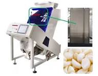 Accurate Recognition Garlic Color Sorter 0.6-1.2 t/h High ...