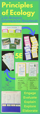 Principles Of Ecology Life Science Interactive Notebook Interactive Science Notebook Interactive Notebooks Life Science