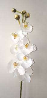 Maybe you would like to learn more about one of these? Artificial Silk Phalaenopsis Orchid Single Stem Just Artificial
