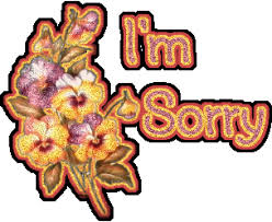 Sorry, chocolate gift set, 5x5in, 1 box (flowers prime). Sorry Glitter Gifs