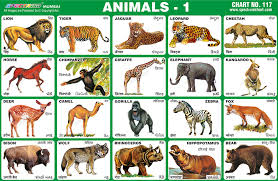 spectrum educational charts chart 117 animals 1