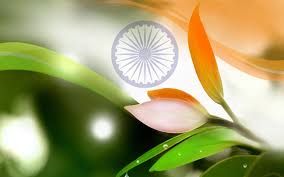 Check spelling or type a new query. India Independence Day Whatsapp Dp Images Wallpapers Wells Cathedral 1920x1200 Wallpaper Teahub Io